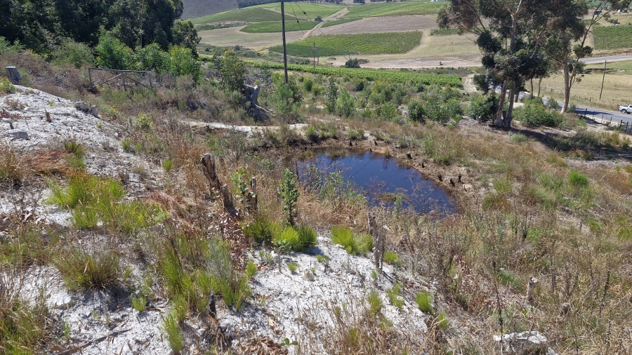 0 Bedroom Property for Sale in Hemel and Aarde Western Cape